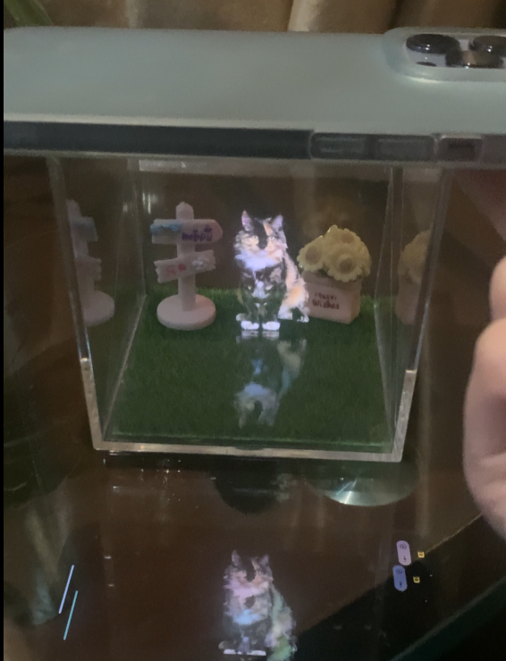 Pet Projection Memorial Box